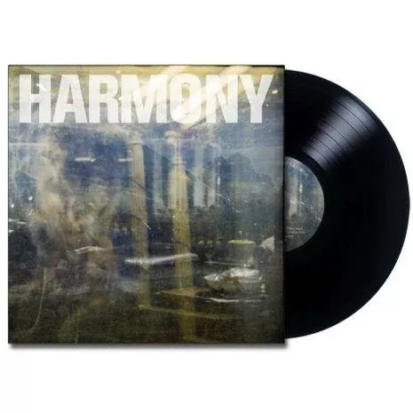 Double Negative (Vinyl)