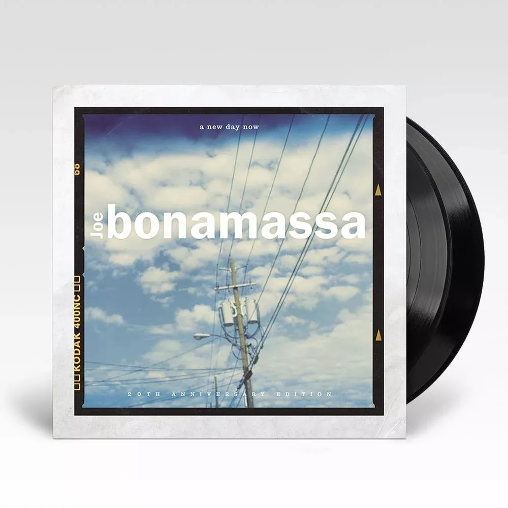 A New Day Now (Vinyl)