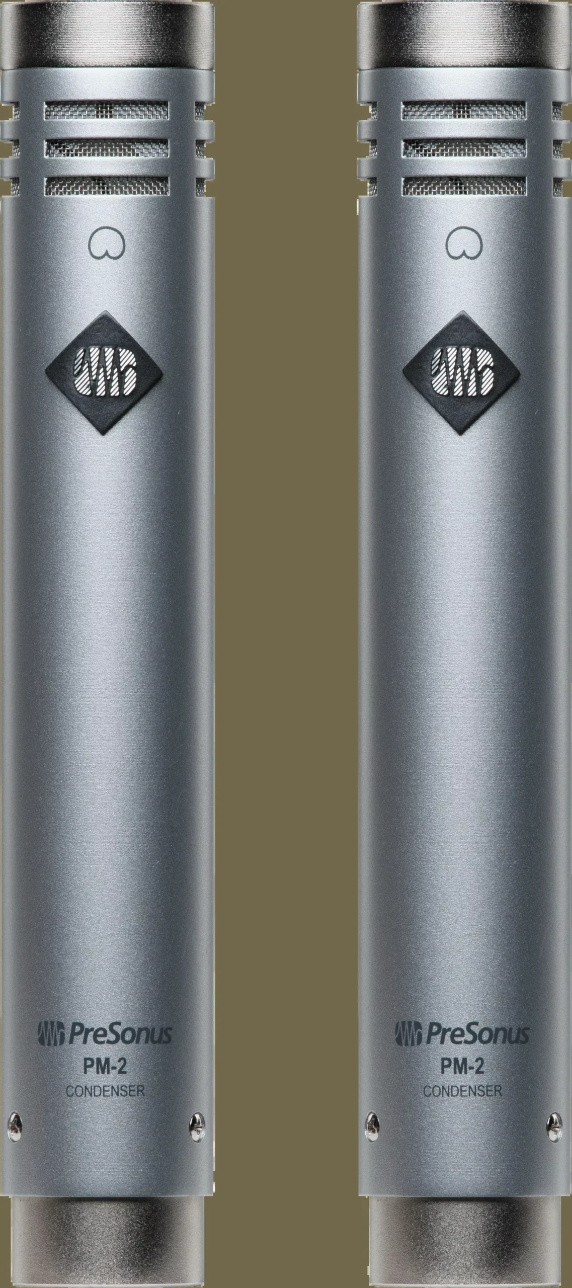 PM-2 Stereo Pair of Small-Diaphragm Cardioid Condenser Microphones