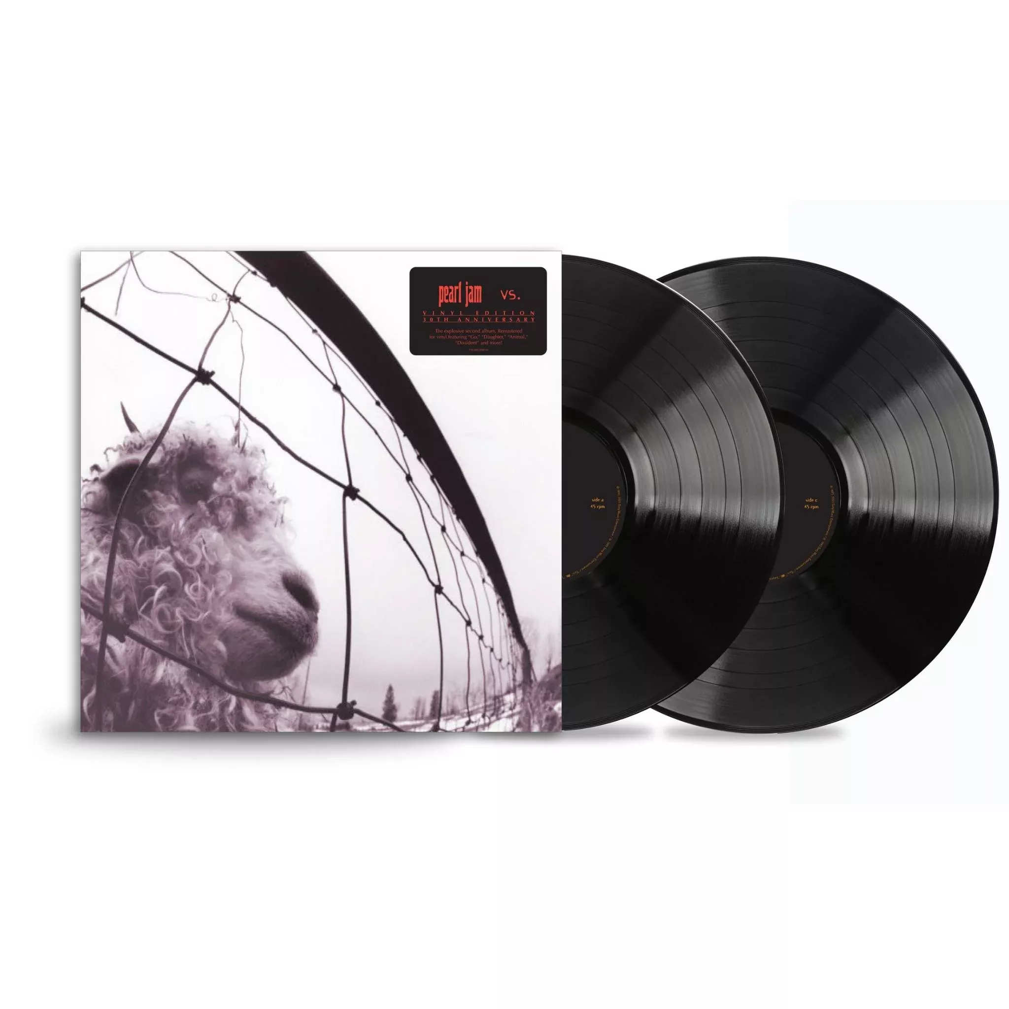 VS (30th Anniversary Vinyl)