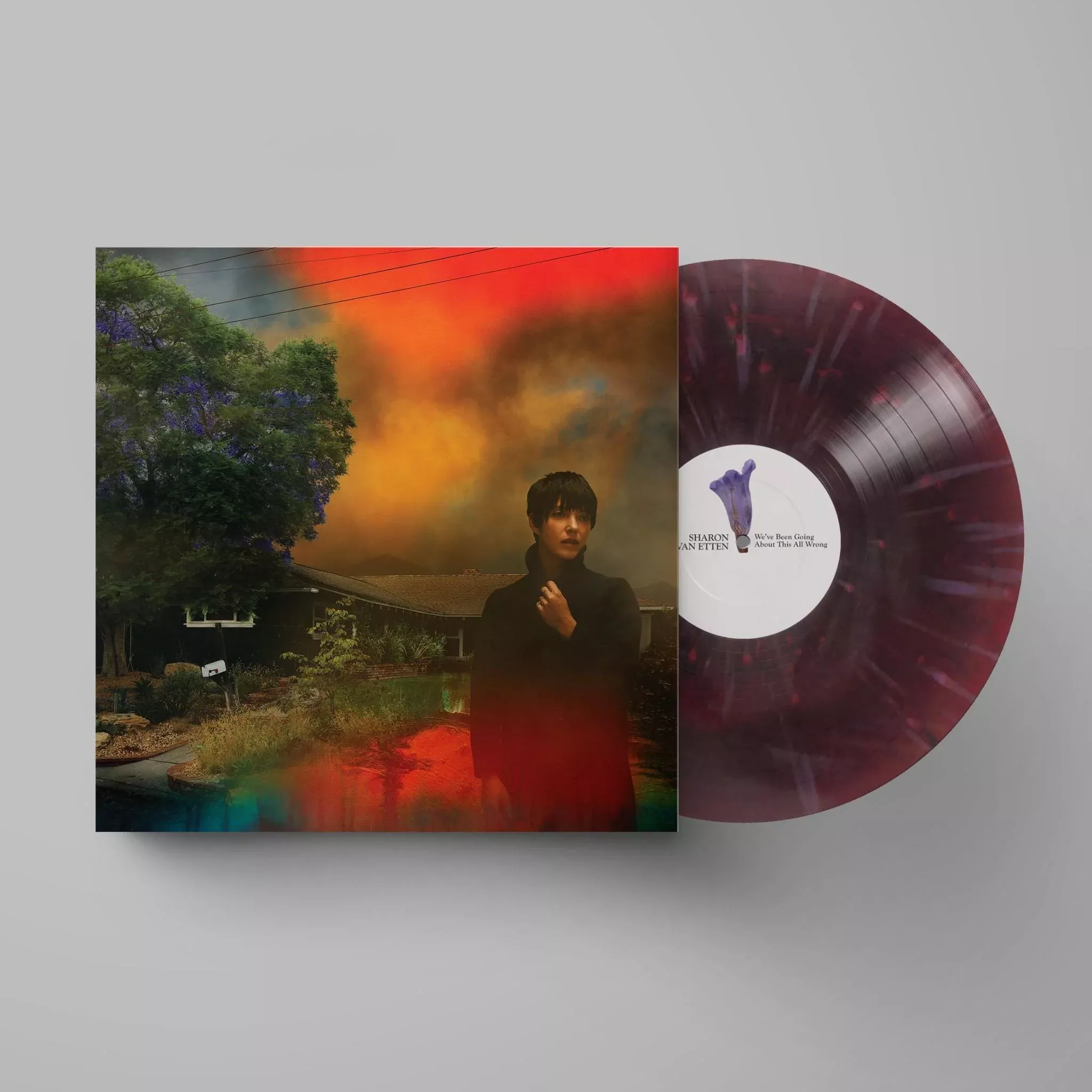We've Been Going About This All Wrong (JB Hi-Fi AU Exclusive Maroon Insomnia Vinyl)