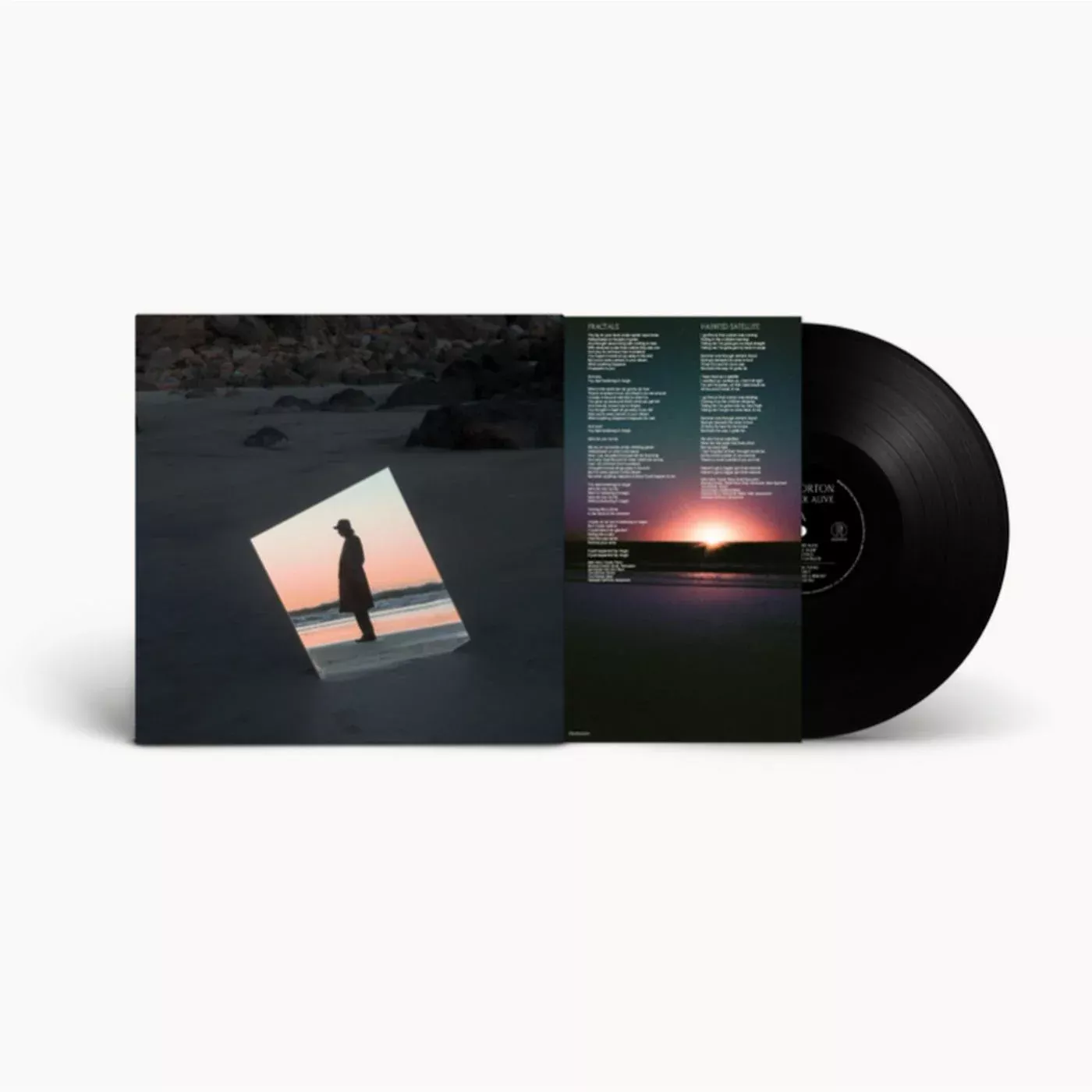 Weather Alive (Vinyl)